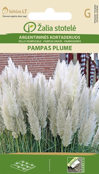 Sėklos Argentininės kortaderijos PAMPAS PLUME 0,2g