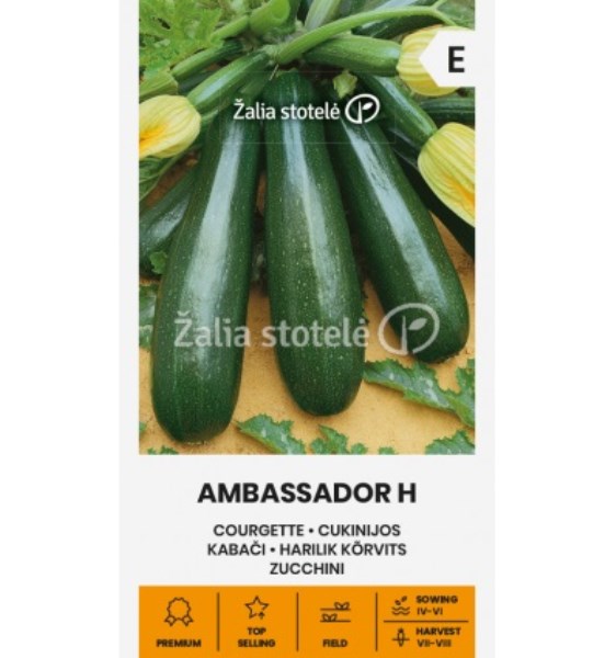 Sėklos cukinijos AMBASSADOR H 1 g