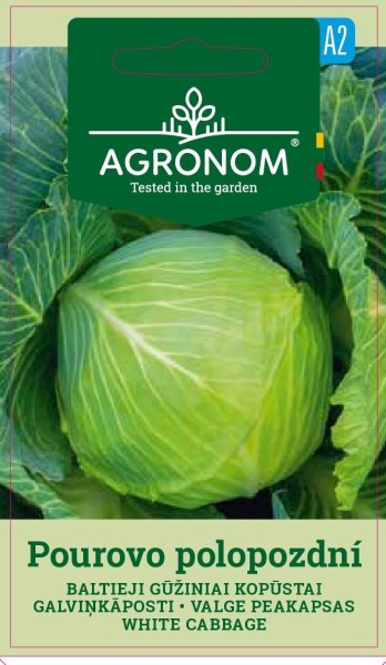 Sėklos baltųjų gūžinių kopūstų POUROVO POLOPOZDNI Agronom