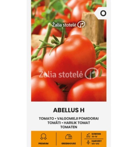 Sėklos Pomidorai valgomieji ABELLUS H