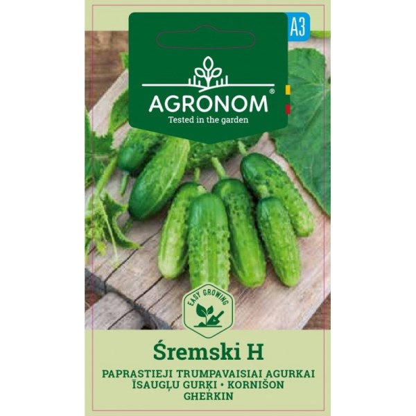 Sėklos agurkų ŠREMSKI H AGRONOM