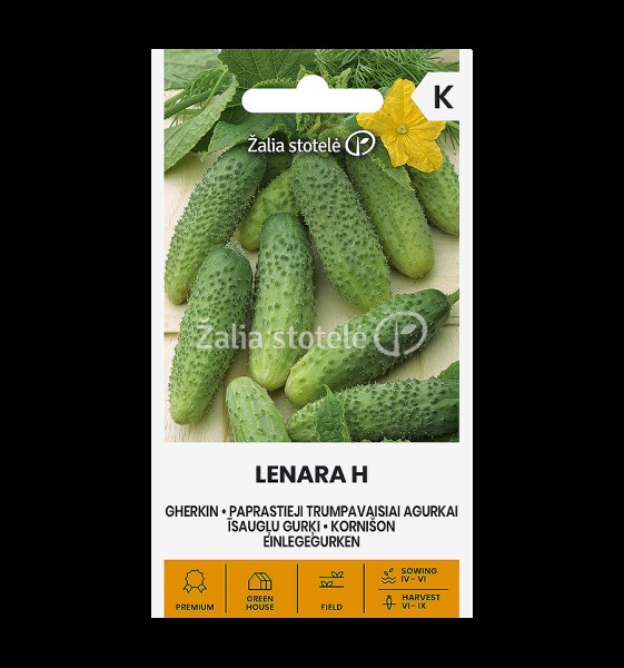 Sėklos paprastieji trumpavaisiai agurkai LENARA H  0,4g