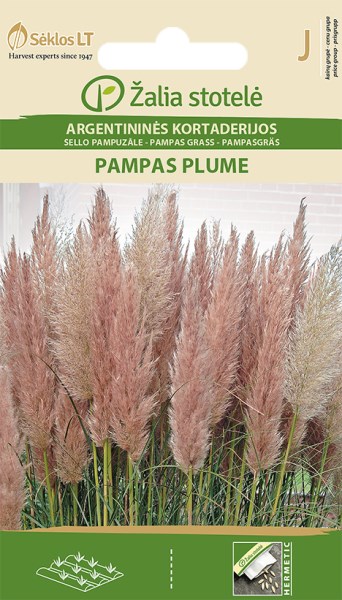 Sėklos Argentininės kortaderijos PAMPAS PLUME 0,2g
