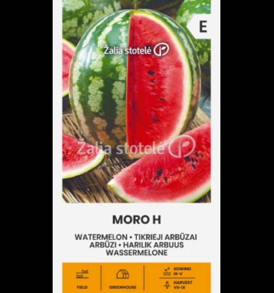 Sėklos arbūzai MORO H  1g
