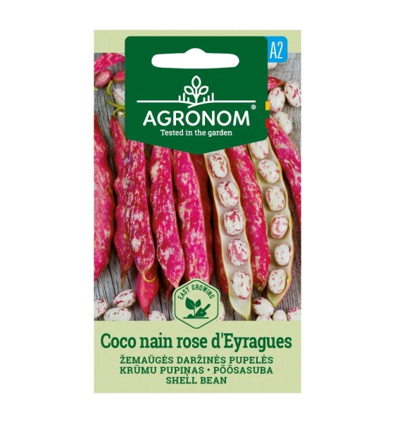 Sėklos Pupelės daržinės žemaūgės COCO NAIN ROSE D"EYRAGUES 8 g