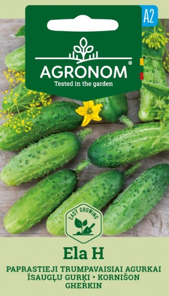 Agurkų sėklos ELA H AGRONOM