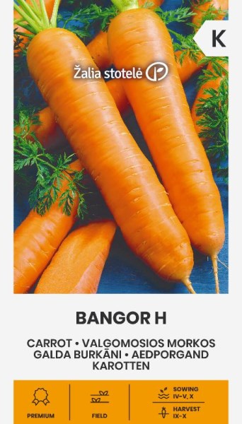 Valgomųjų morkų sėklos BANGOR H, 1 g