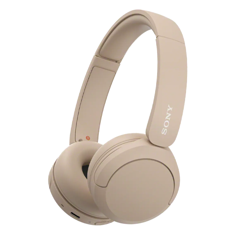 WH-CH520 ausinės