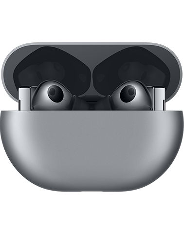 Ausinių dėklas HUAWEI FreeBuds Pro Grey/Black