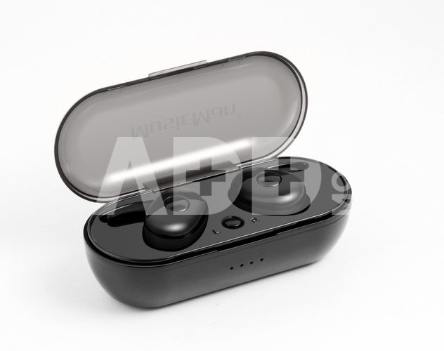 Technaxx Deutschland GmbH & Co. KG Wireless Earphones TWS with micr. BT-X49