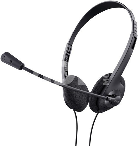 HEADSET BASICS/24659 TRUST