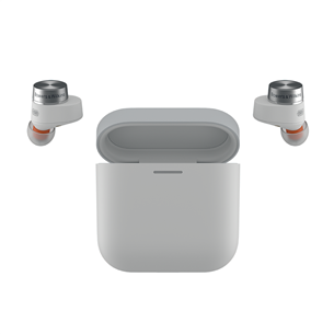 Ausinės Bowers & Wilkins Pi5 S2, pilka, FP43842