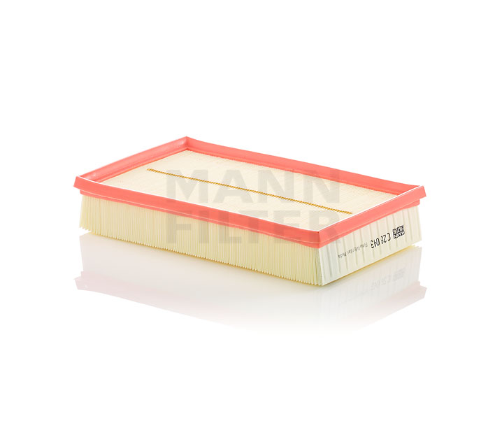 Oro filtras C28043