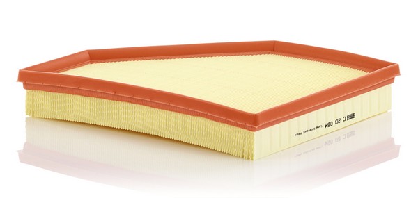 Oro filtras C28054