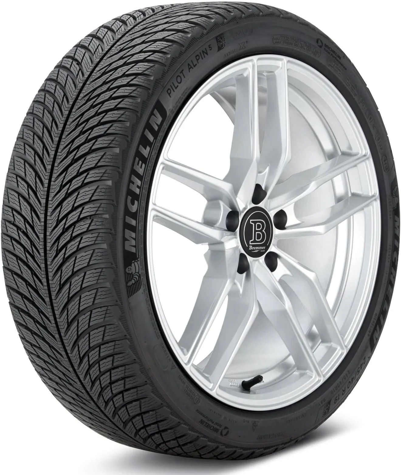 Michelin Pilot Alpin 5 305/35R21 109 W