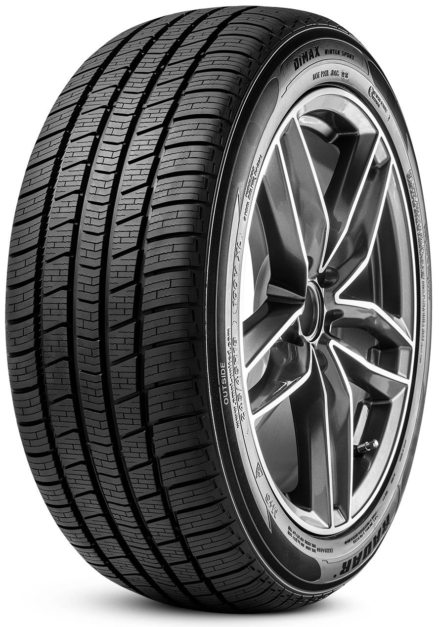 Radar Dimax Winter Sport 295/35R21 107 V