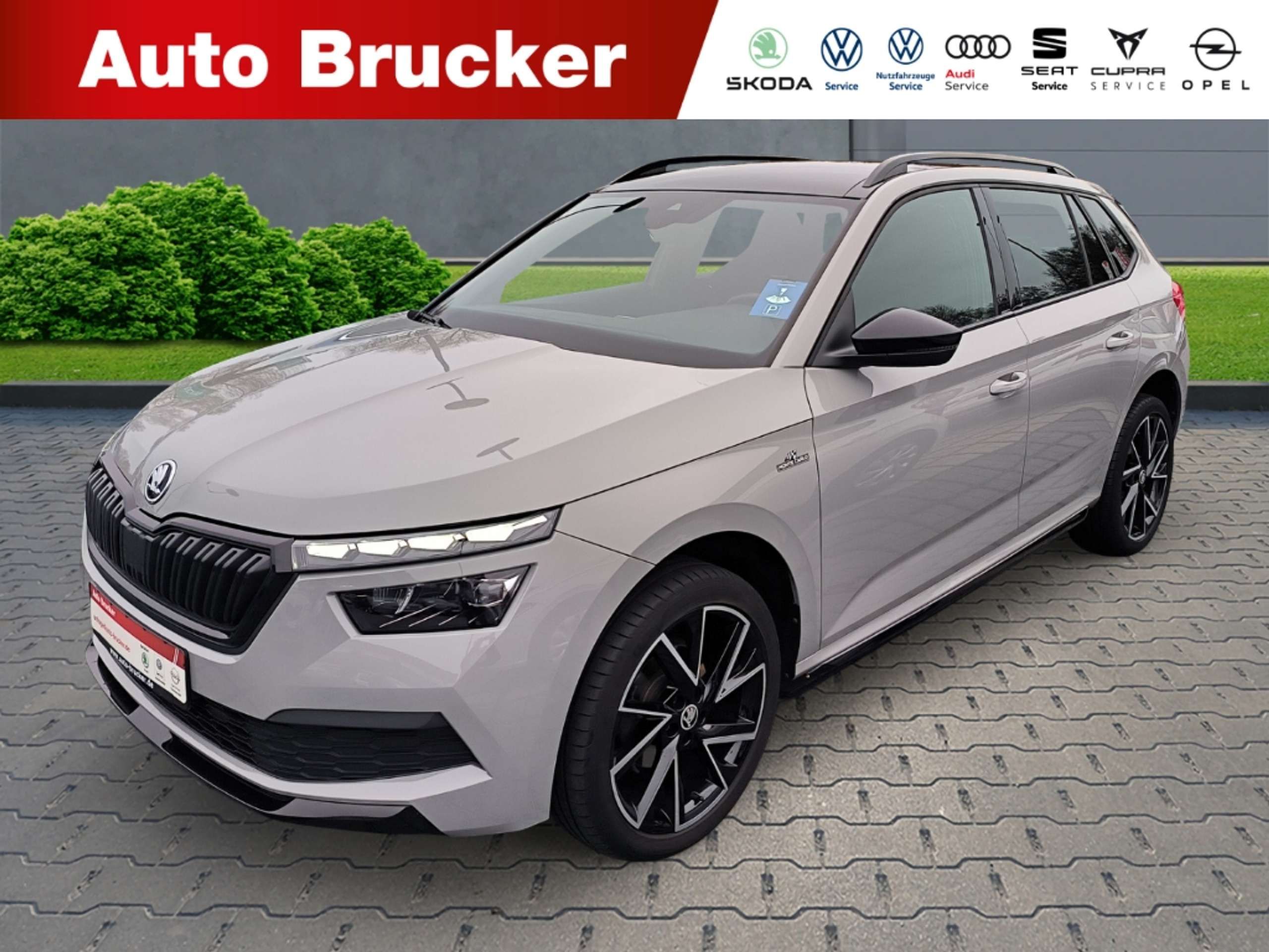 Skoda Kamiq 2020 Pilka