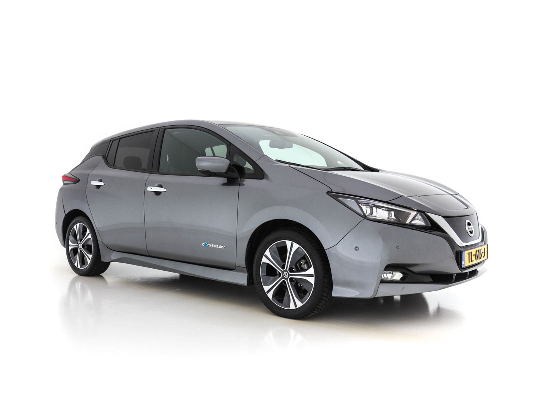 Nissan Leaf 2018 Pilka