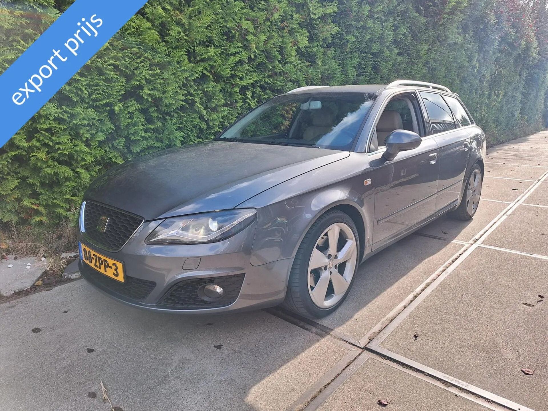 Seat Exeo 2013 Pilka