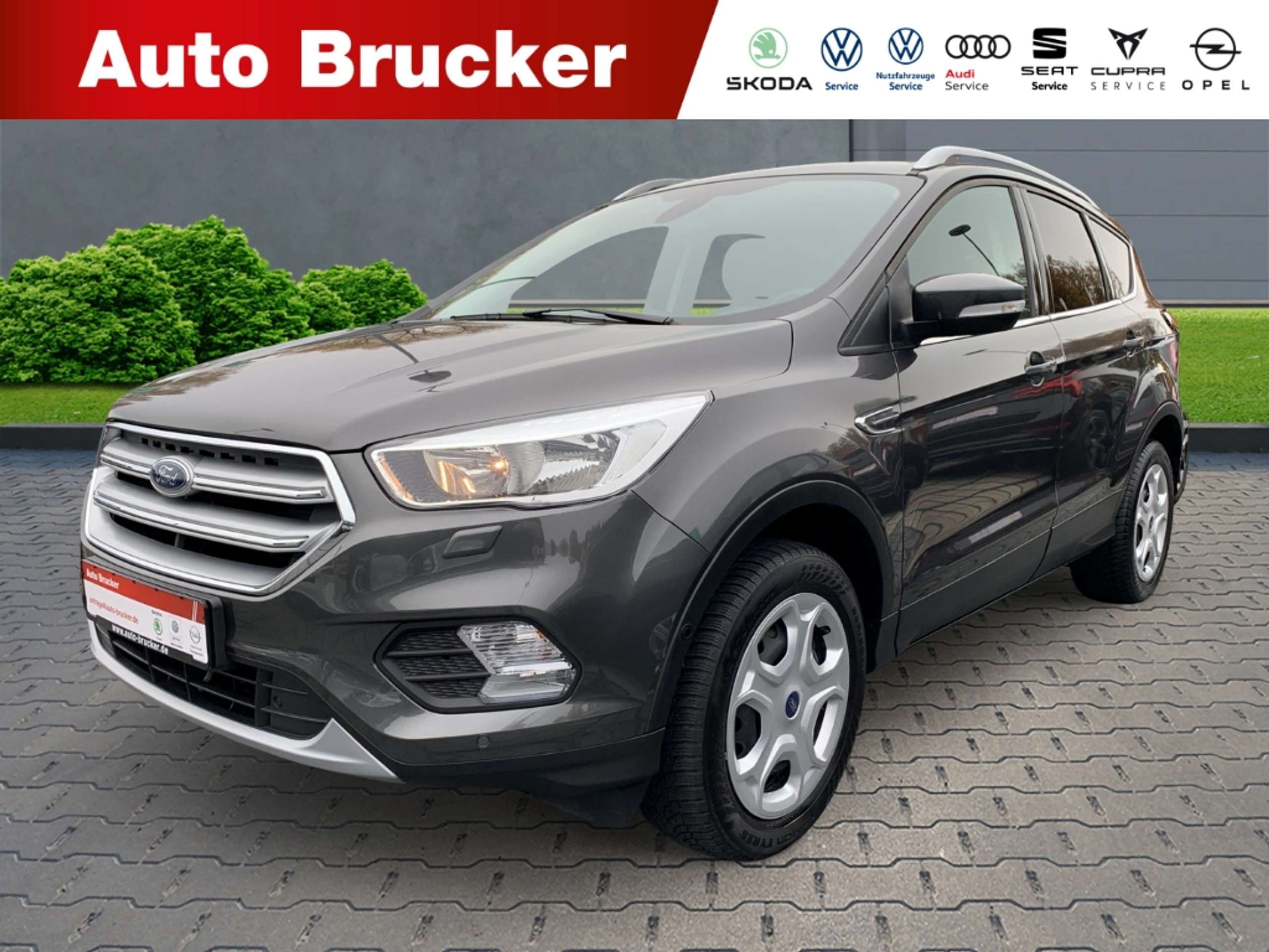 Ford Kuga 2019 Pilka