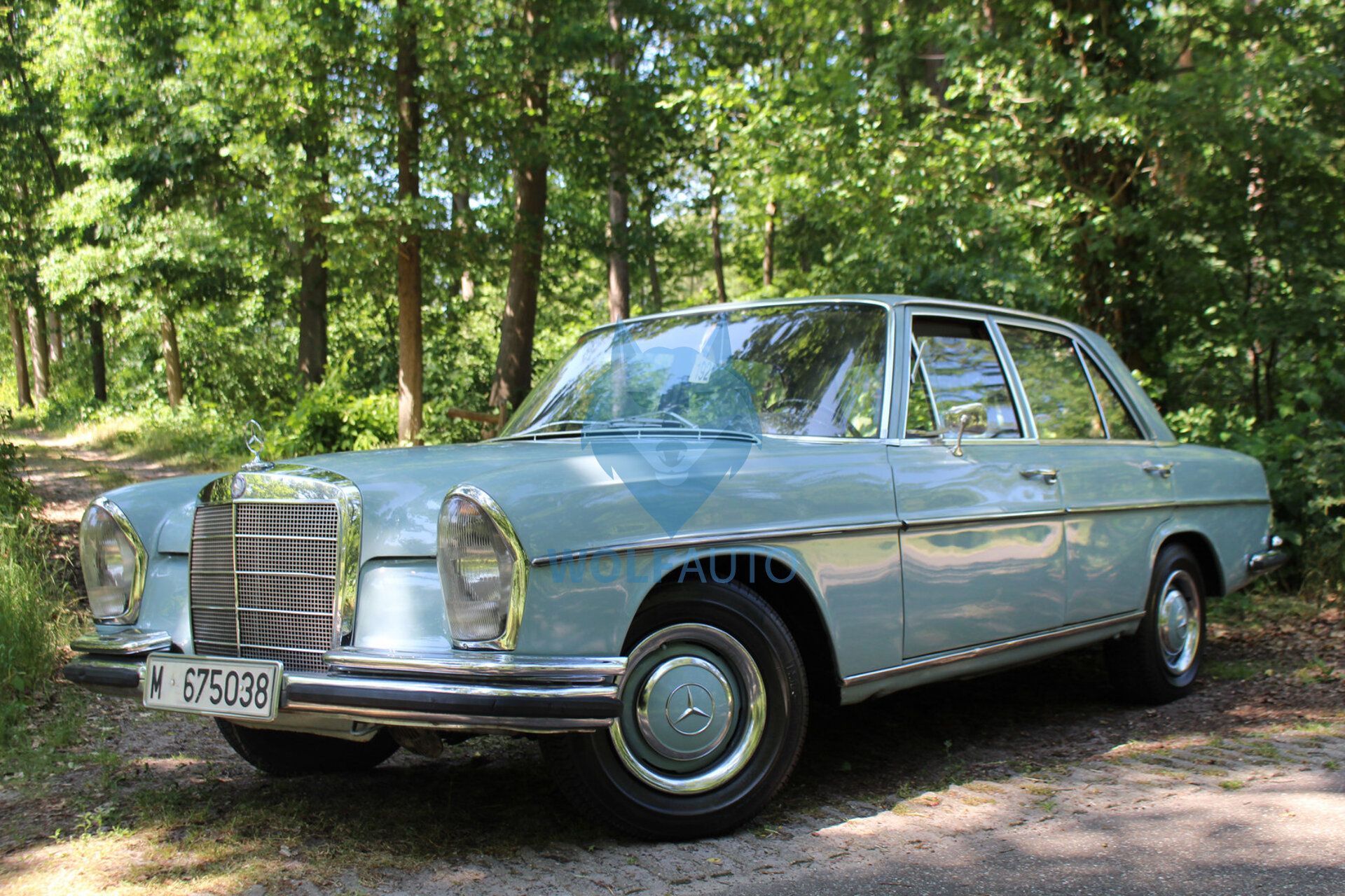 Mercedes-Benz 250 1968 Mėlyna