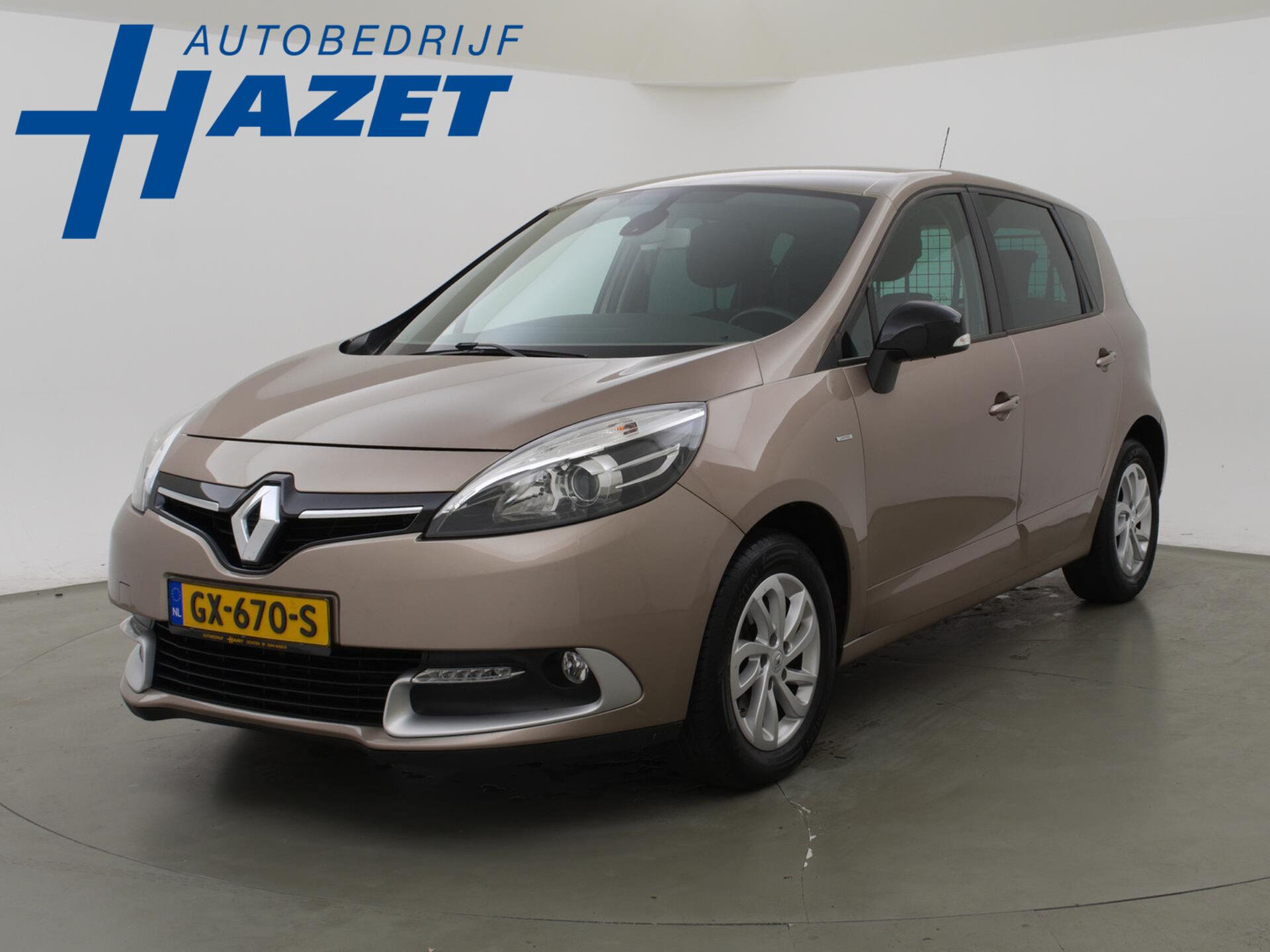 Renault Scenic 2015 Ruda