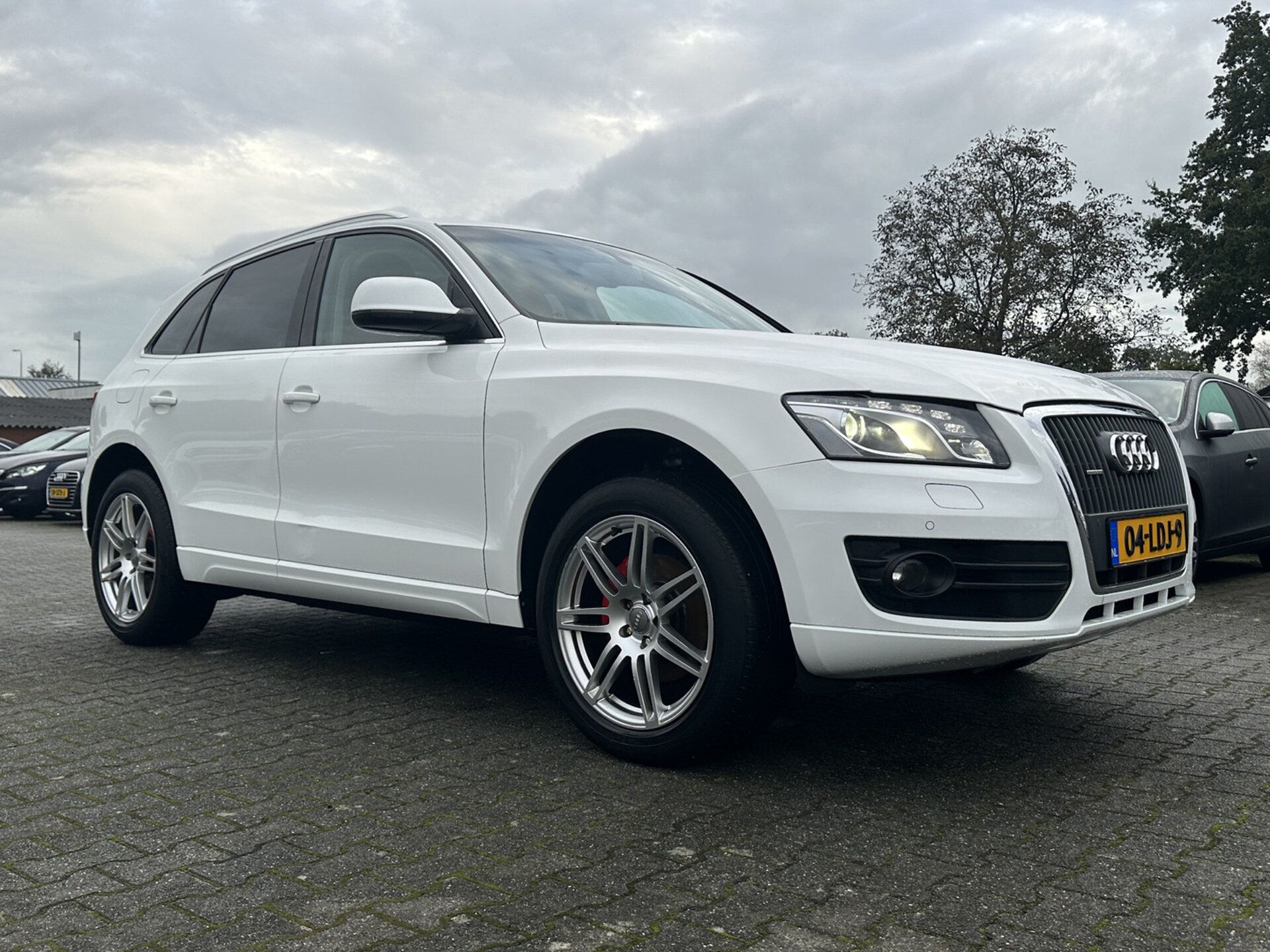 Audi Q5 2010 Balta