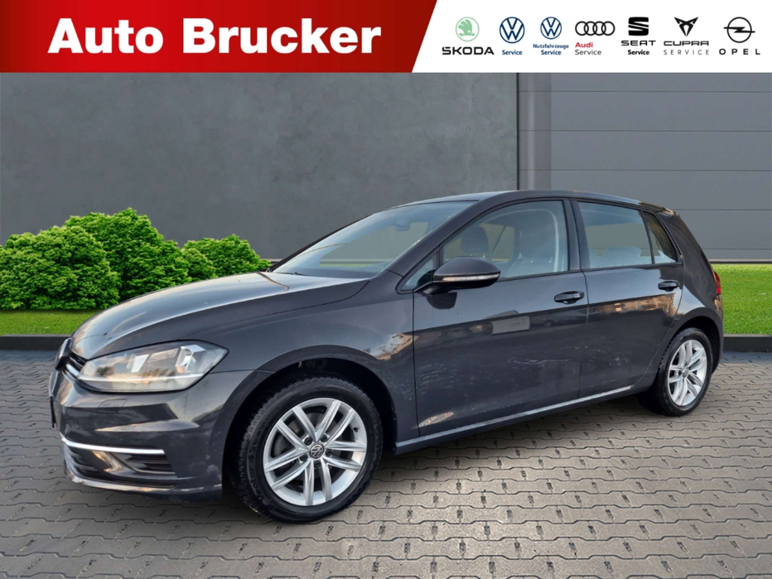 Volkswagen Golf 2019 Pilka