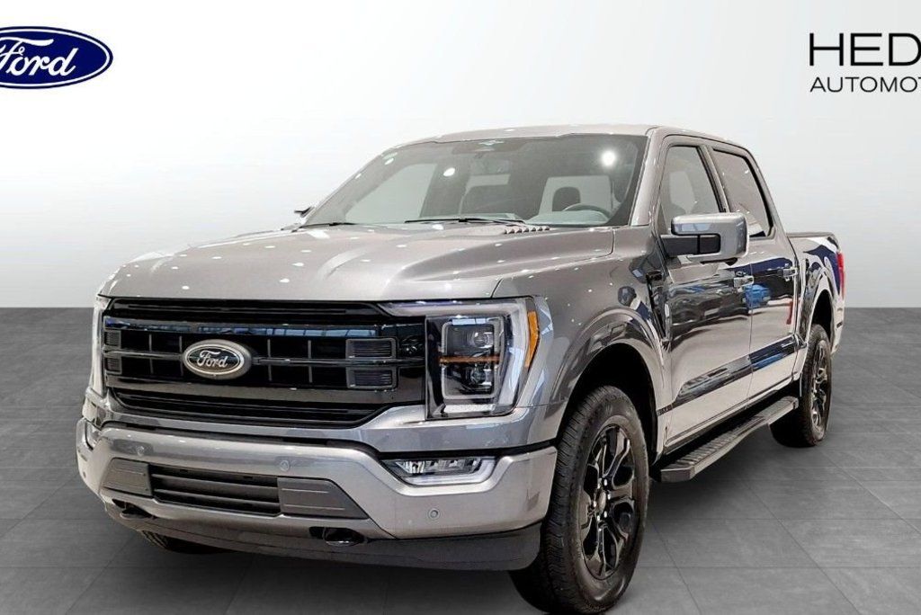 Ford F 150 2023 Pilka