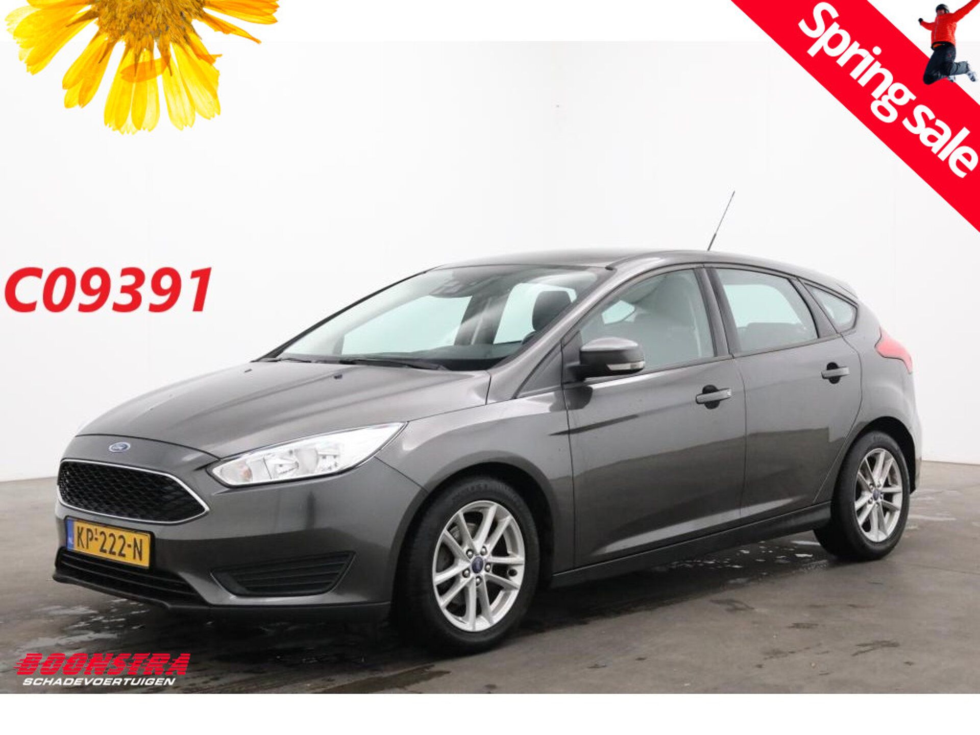 Ford Focus 2015 Pilka