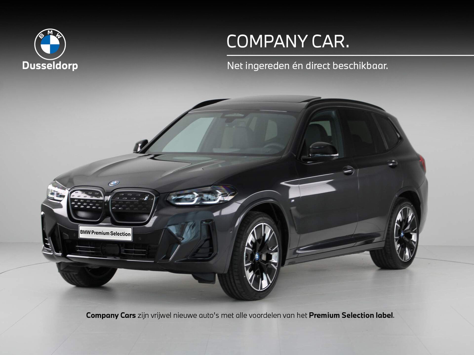 BMW iX 2024 Pilka