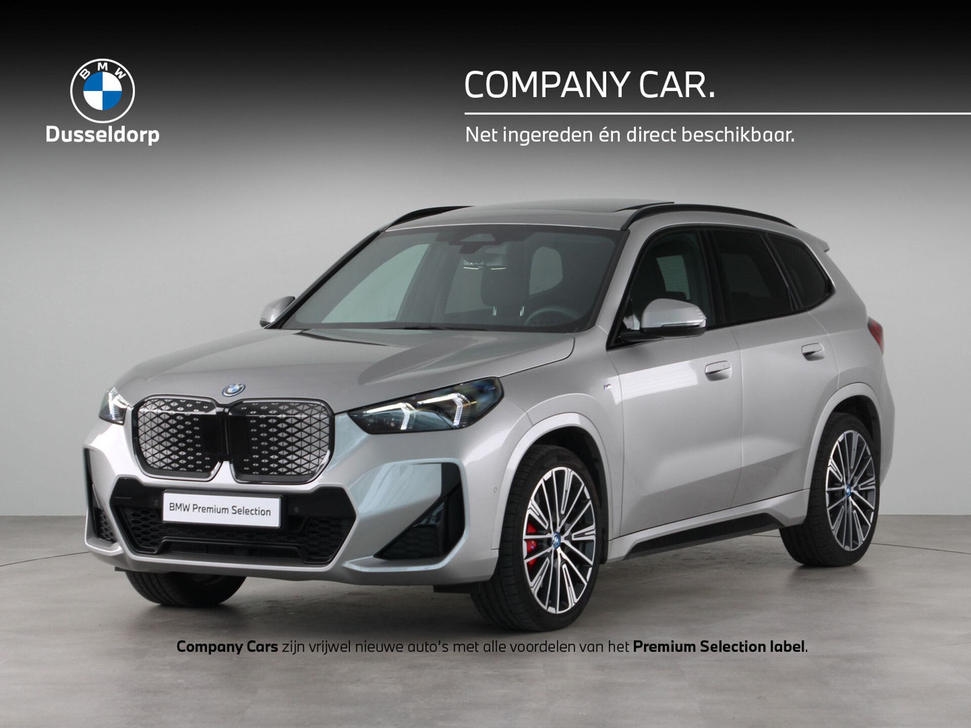 BMW iX 2024 Pilka