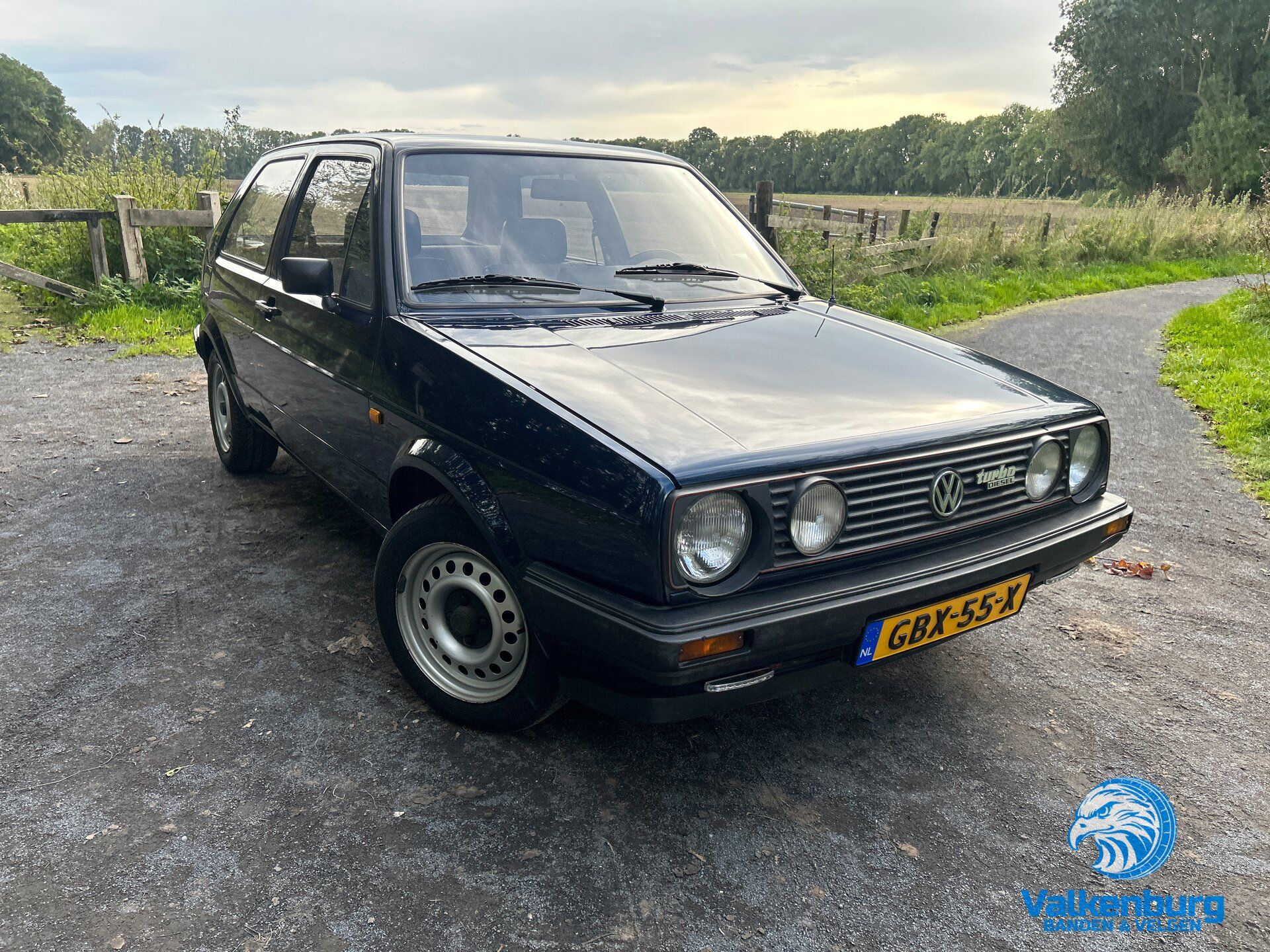 Volkswagen Golf 1984 Mėlyna