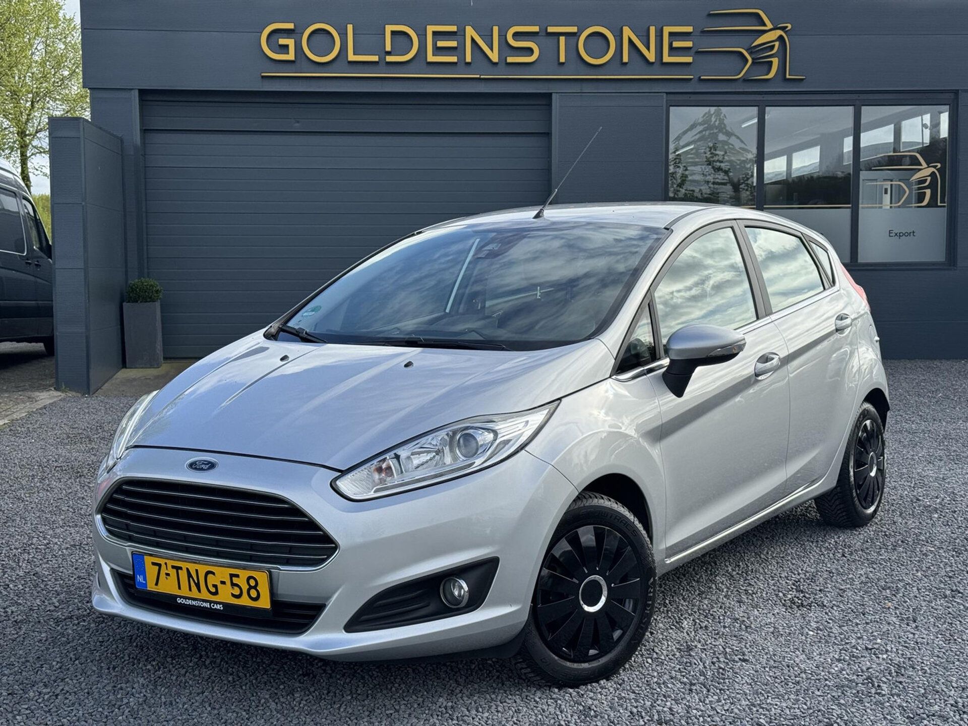 Ford Fiesta 2014 Pilka