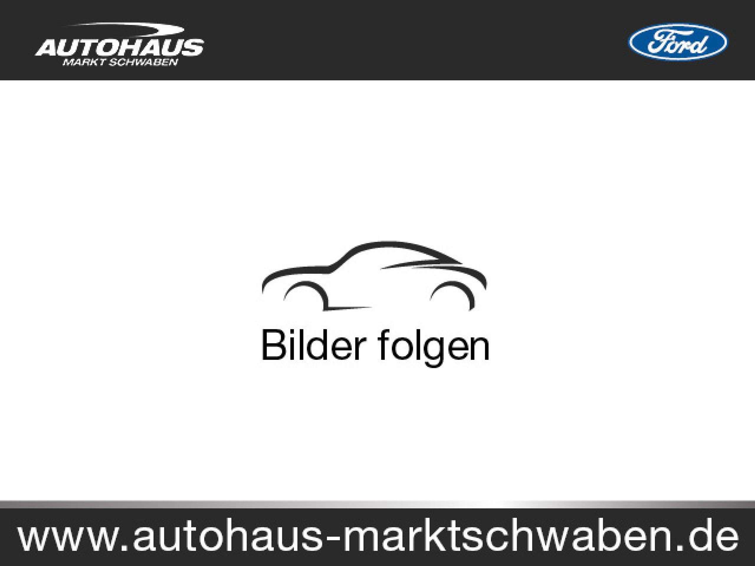 Ford Transit 2019 Pilka