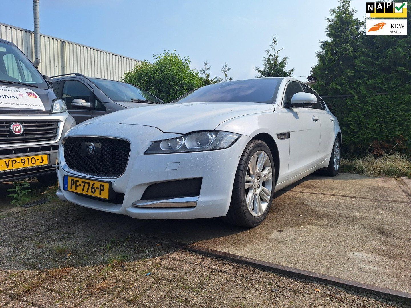 Jaguar XF 2016 Balta