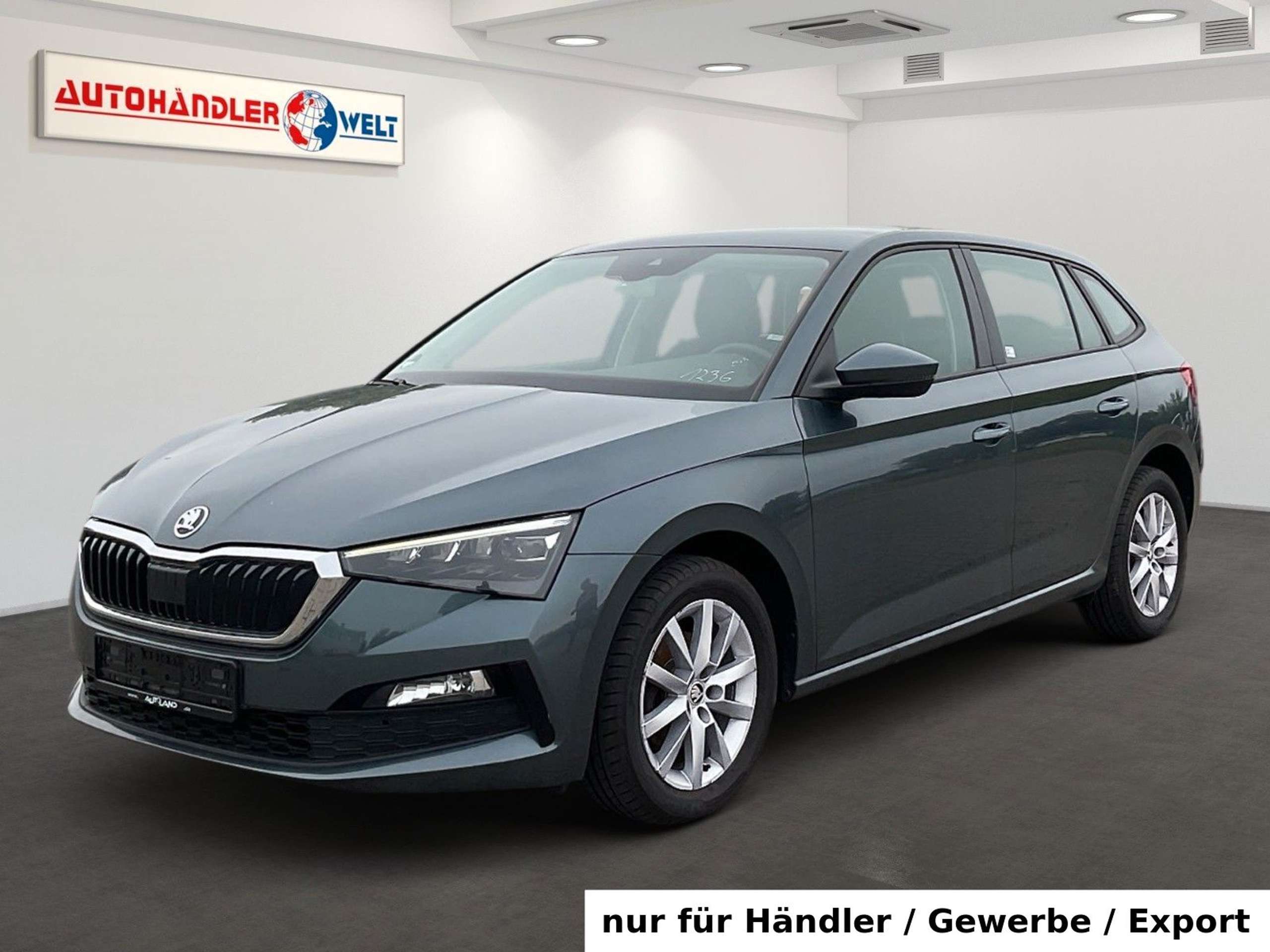Skoda Scala 2020 Pilka