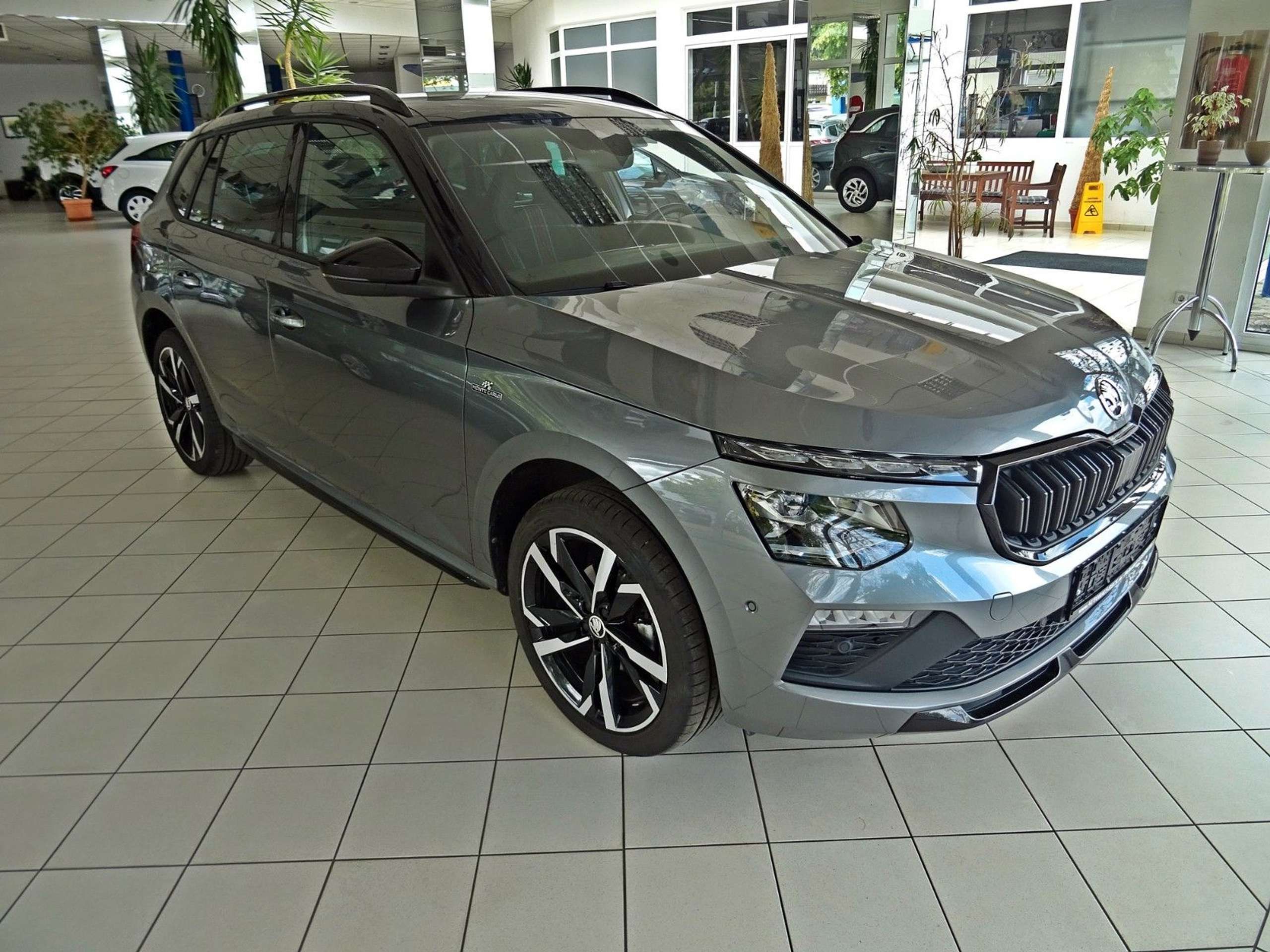 Skoda Kamiq 2024 Pilka