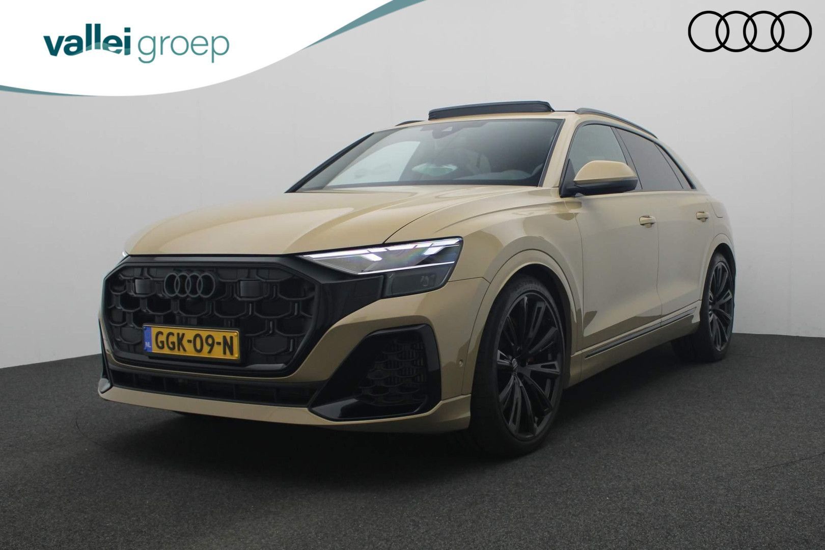 Audi Q8 2024 Smėlio