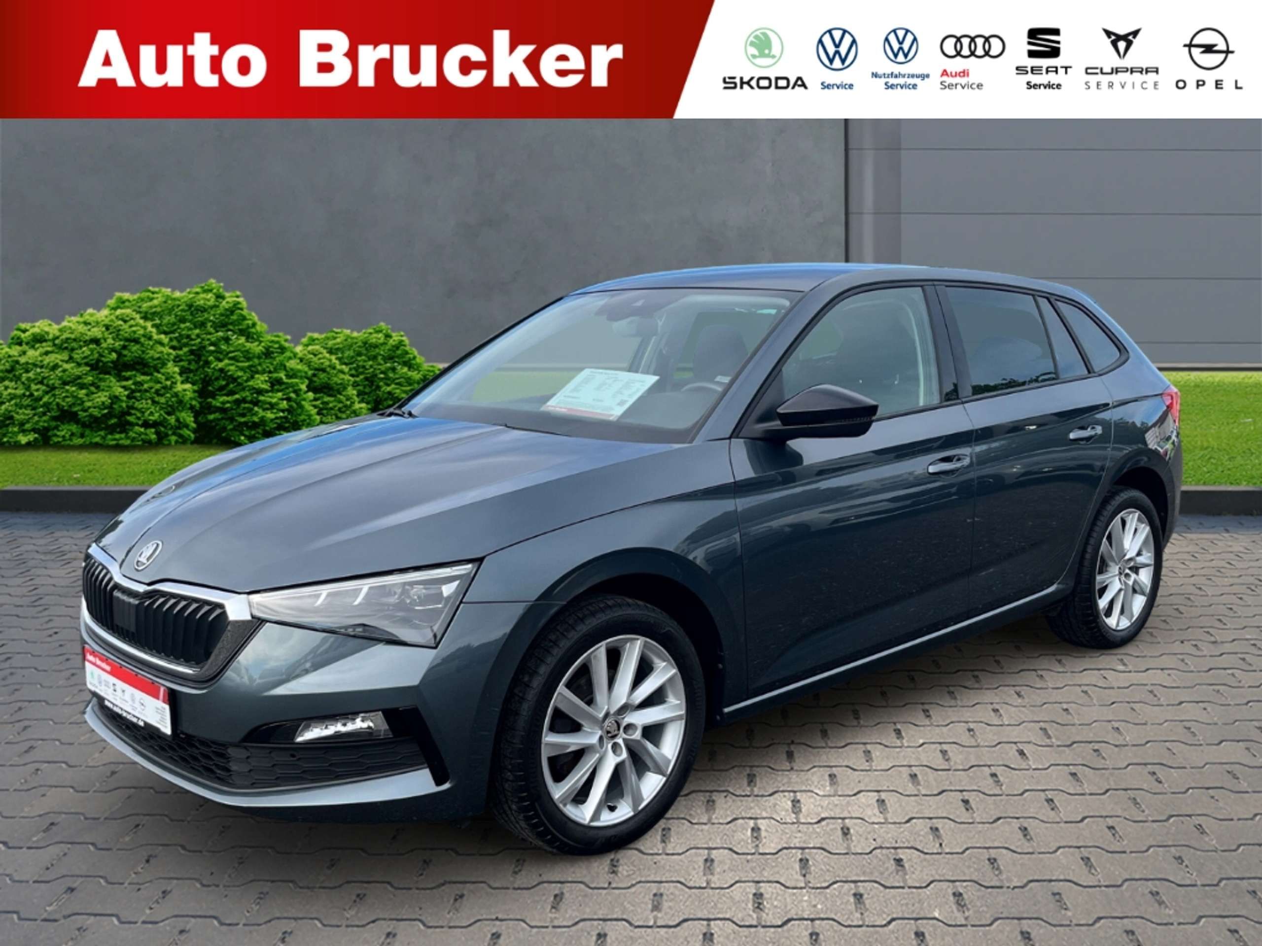 Skoda Scala 2019 Pilka