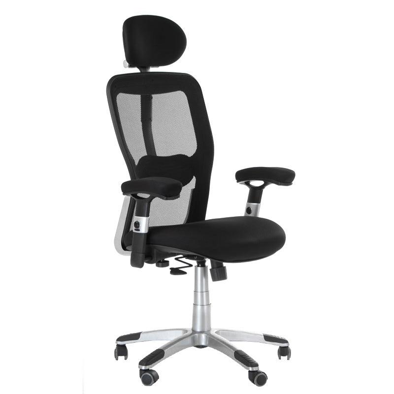 Ergonomiška biuro kėdė CorpoComfort BX-4147, juoda