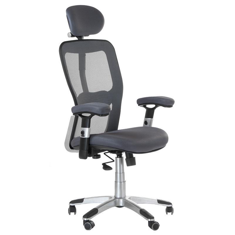 Ergonomiška biuro kėdė CorpoComfort BX-4147, pilka