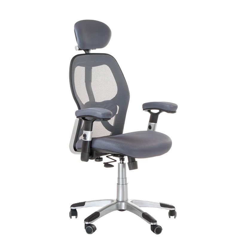 CorpoComfort BX-4144 ergonomiška biuro kėdė, pilka