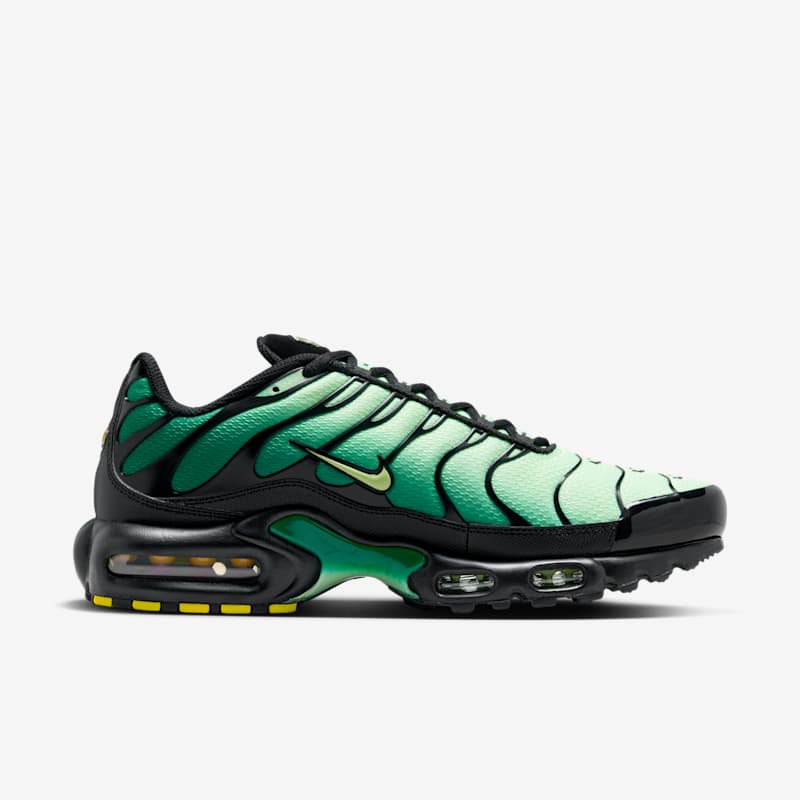 Nike Air Max Plus - Dydis 41 (DM0032-301 Nike Air Max batai)