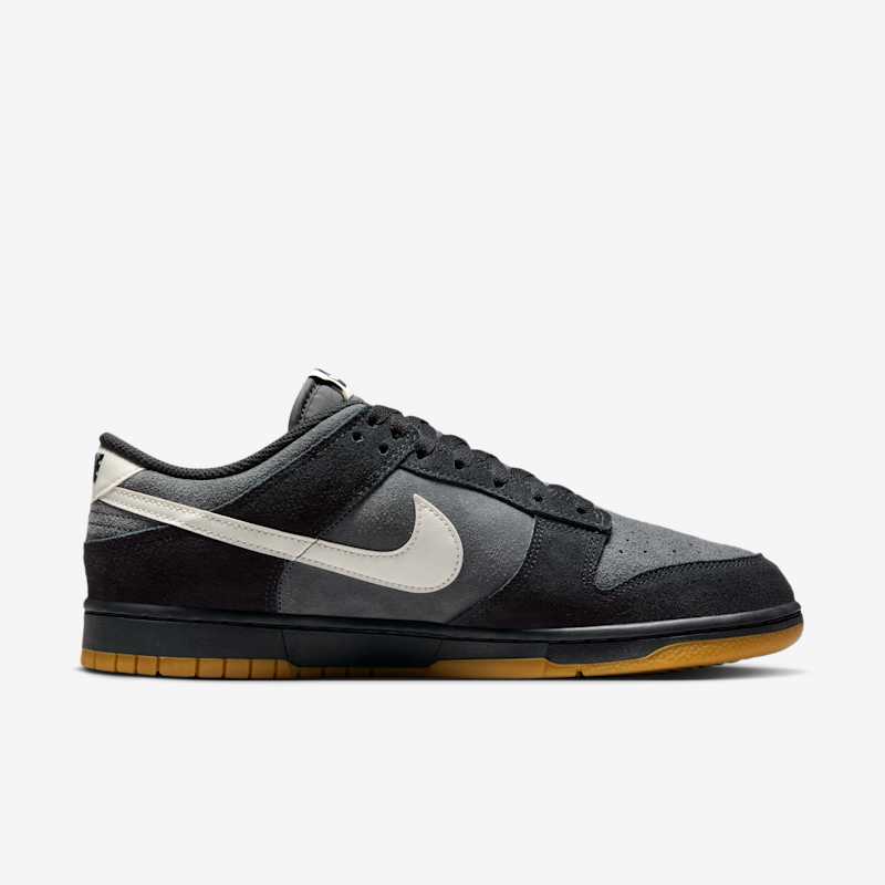Nike Dunk Low Retro SE - Dydis - 47.5 (HQ1931-001 Laisvalaikio batai)