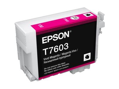 Epson T7603 | Ink Cartridge | Vivid Magenta|C13T76034N10