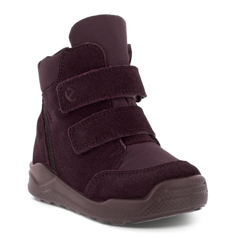 ECCO Žieminiai batai Gore-Tex 754781-51502/20