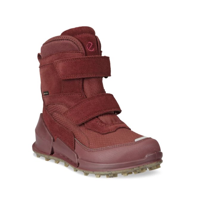ECCO Žieminiai batai Gore-Tex BIOM 711202-60777/34