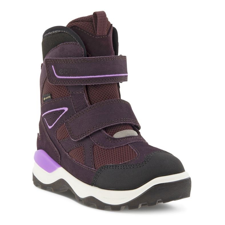 ECCO Žieminiai batai Gore-Tex 710263-51663/36