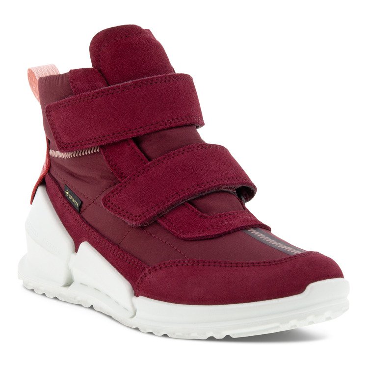 ECCO BIOM Žieminiai batai Gore-Tex 711762-60468/30
